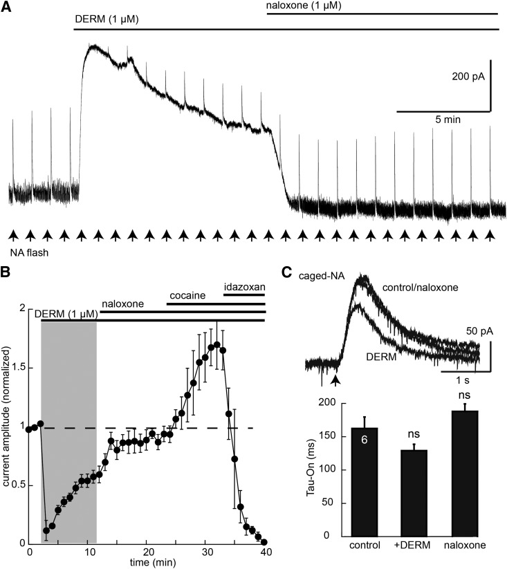 Fig. 8.