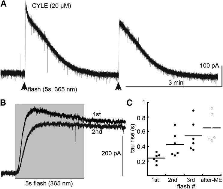 Fig. 6.