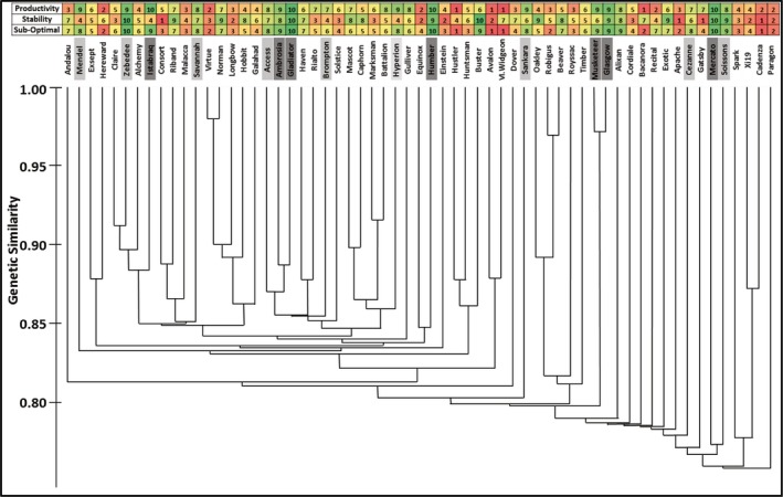 Figure 4