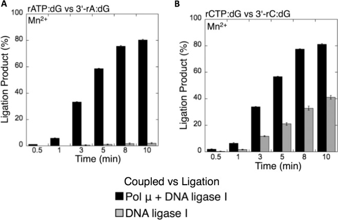 Figure 13