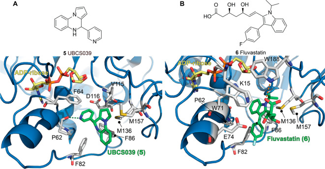 Figure 7