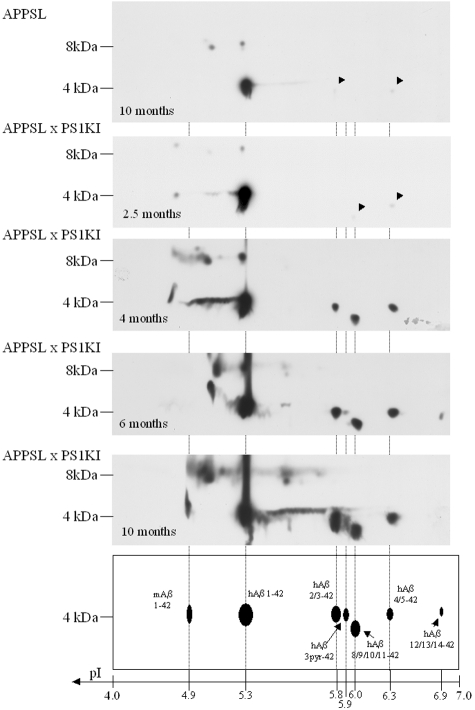 Figure 3-4263