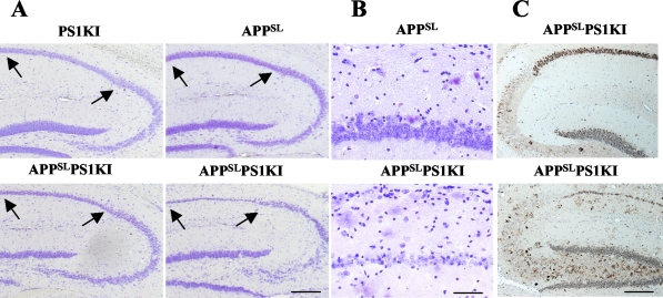 Figure 5-4263