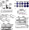 Figure 6