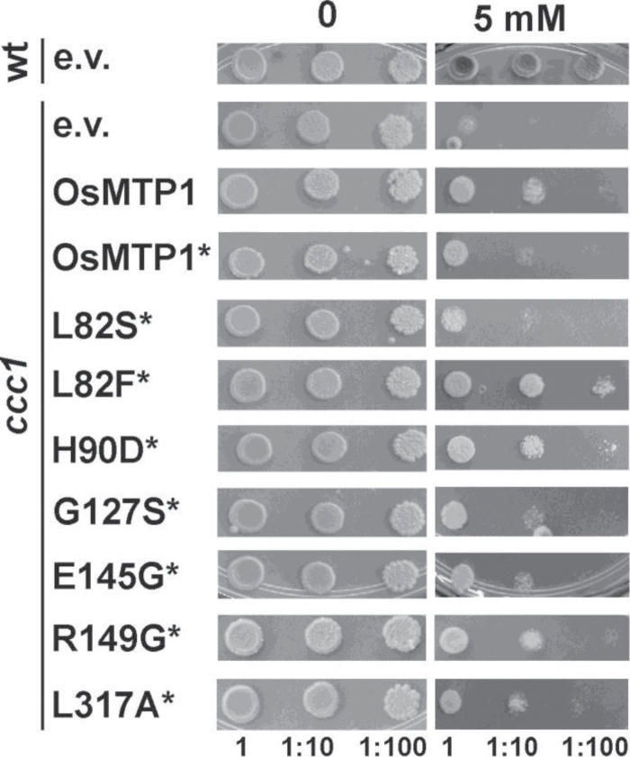 Fig. 8.