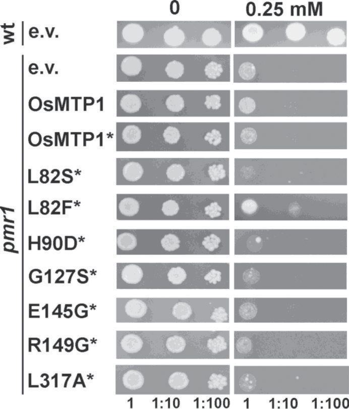 Fig. 10.