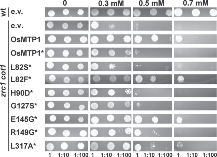 Fig. 7.