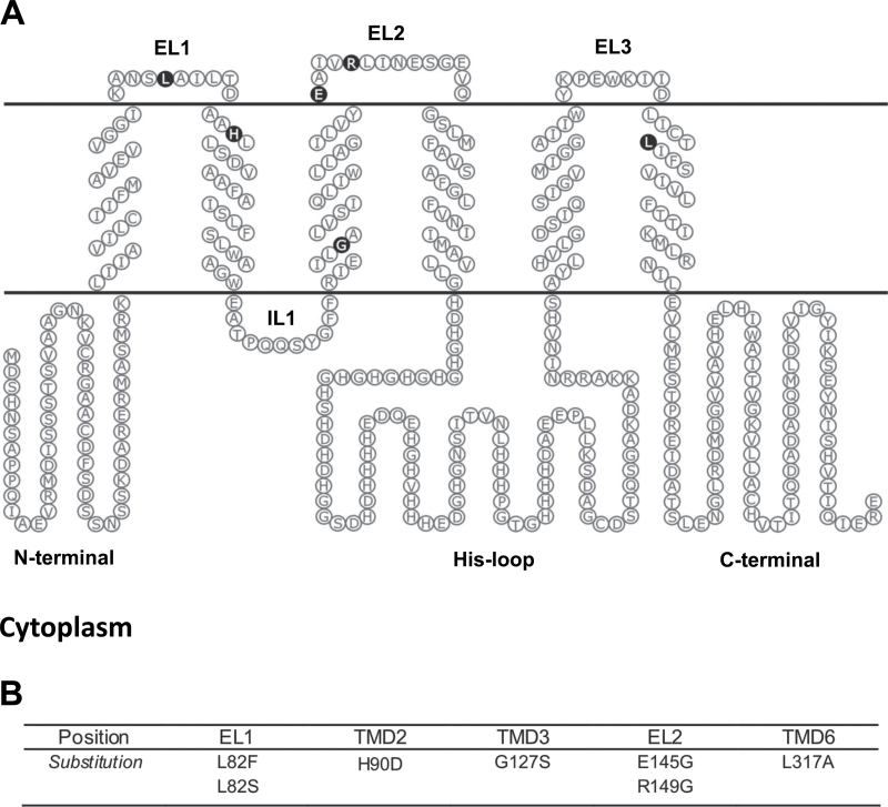 Fig. 5.