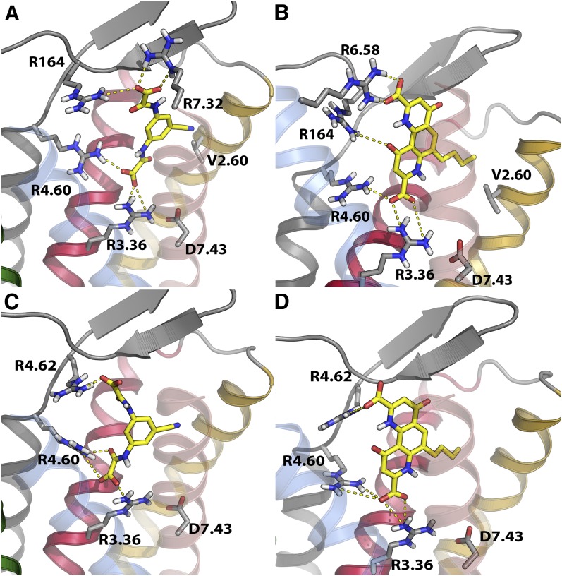 Fig. 8.