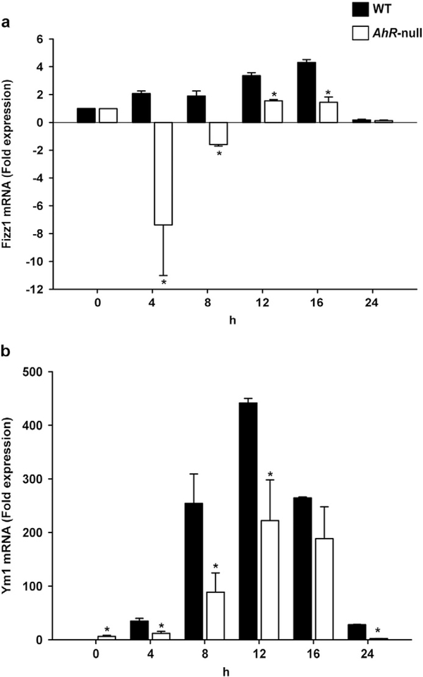 Fig. 6.