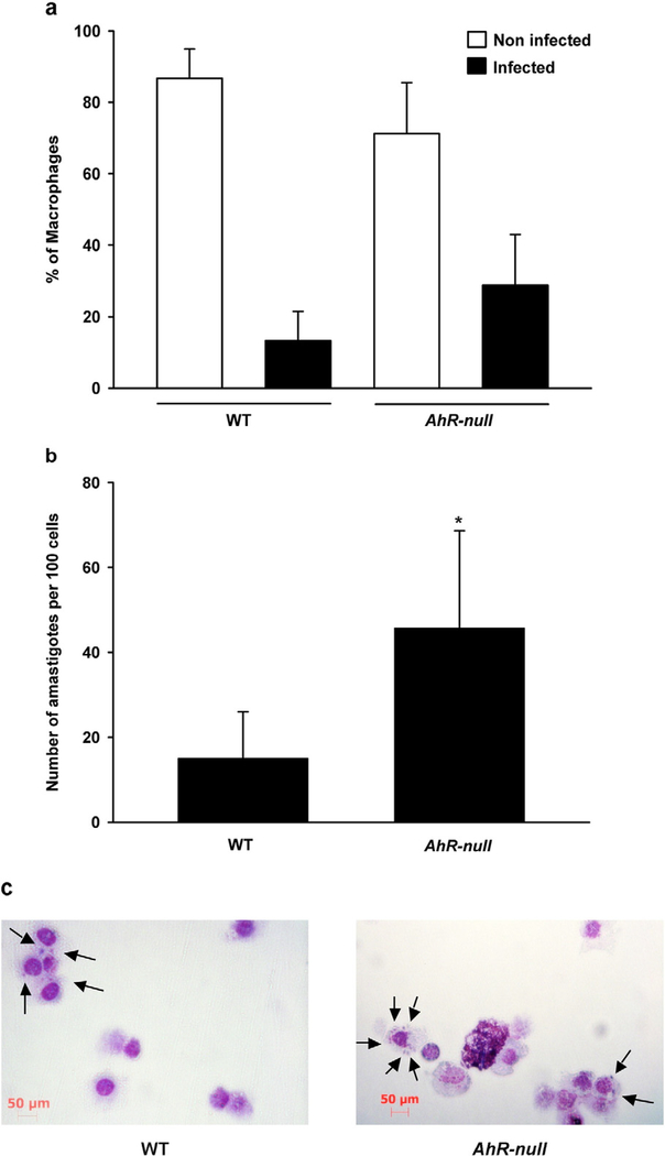 Fig. 8.