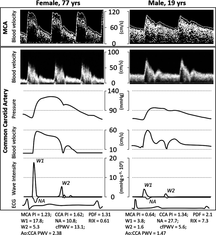 Fig. 1.