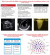 Graphical Abstract