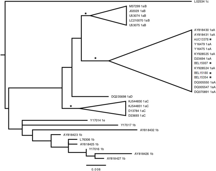 FIGURE 3