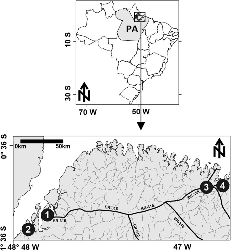 FIGURE 1