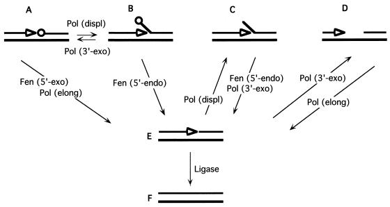 FIG. 5