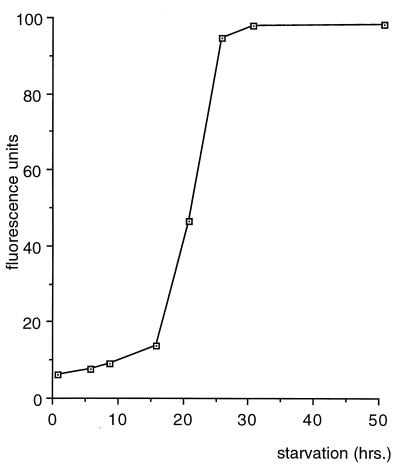 FIG. 8