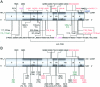 Figure  2