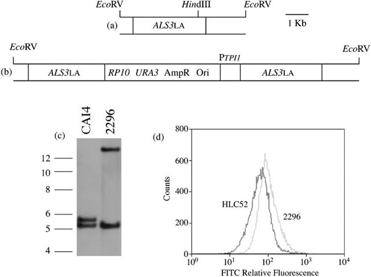 Fig. 3