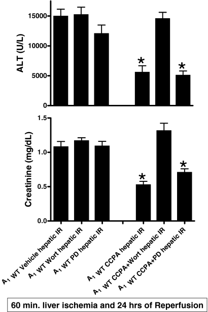 Fig. 12.