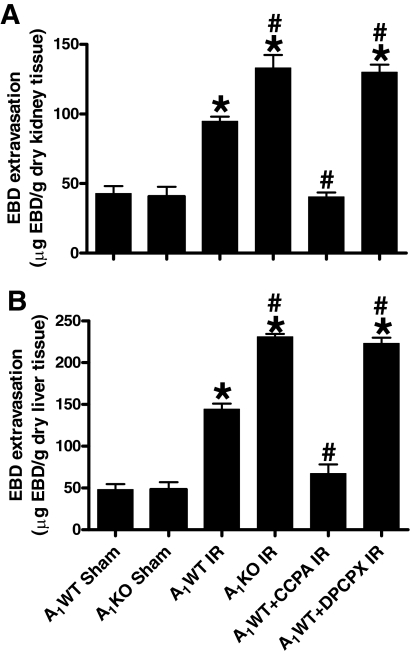 Fig. 9.