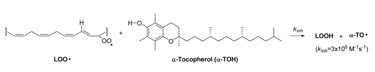 Scheme 2.