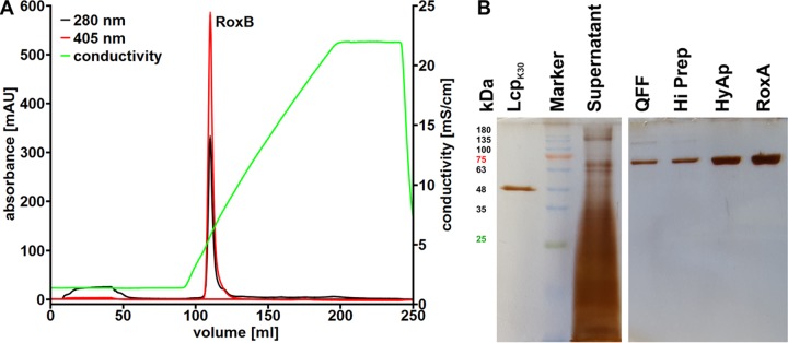 FIG 3