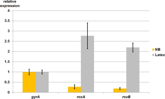 FIG 2