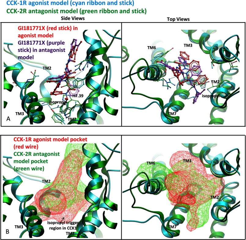 FIGURE 7.