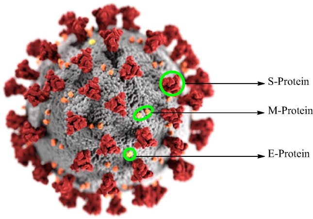 Fig. 1