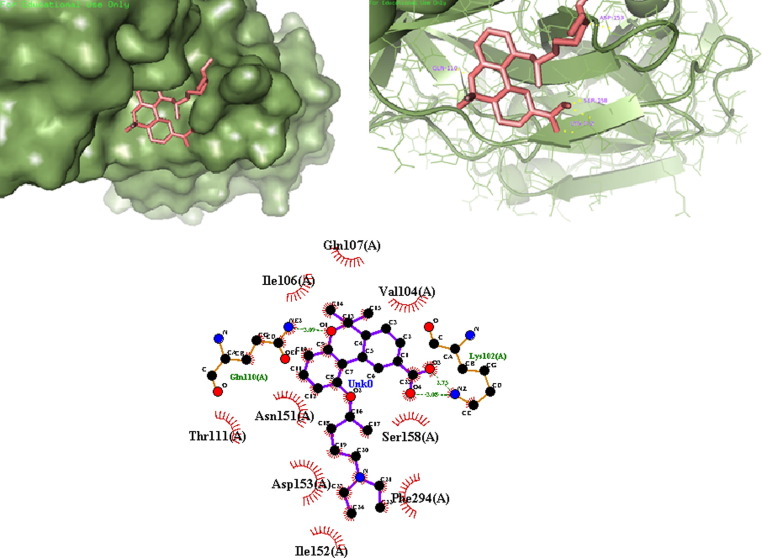 Fig. 13