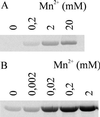 FIG. 6