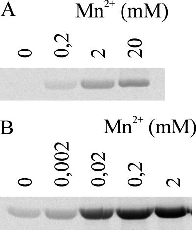 FIG. 6