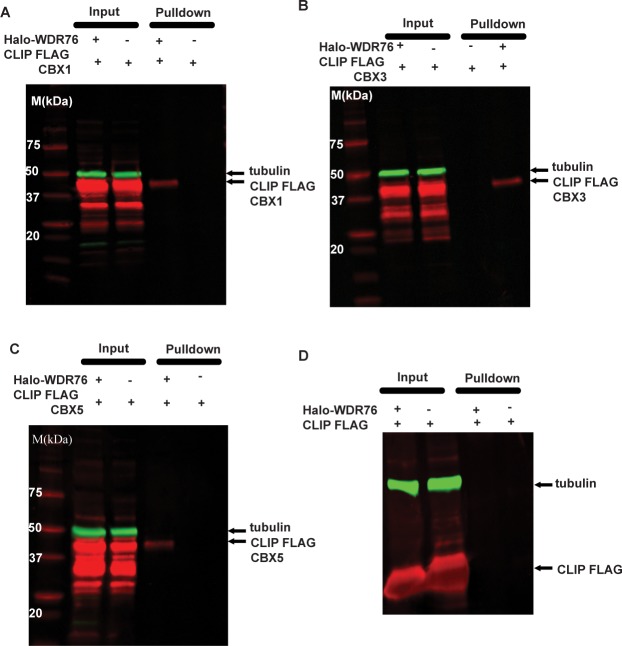 Fig 4