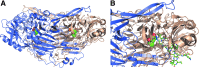 <b>FIG. 2.</b>