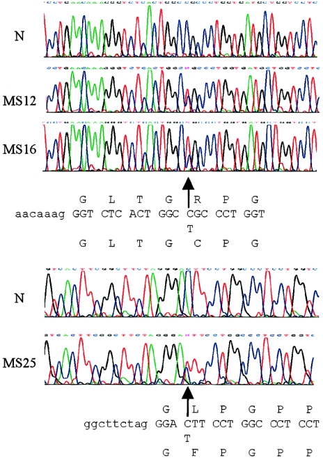 Figure  3 