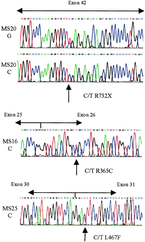 Figure  5 