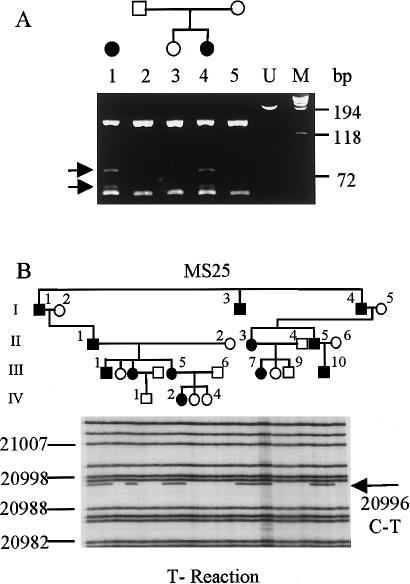 Figure  4 