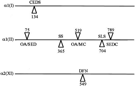 Figure  6 