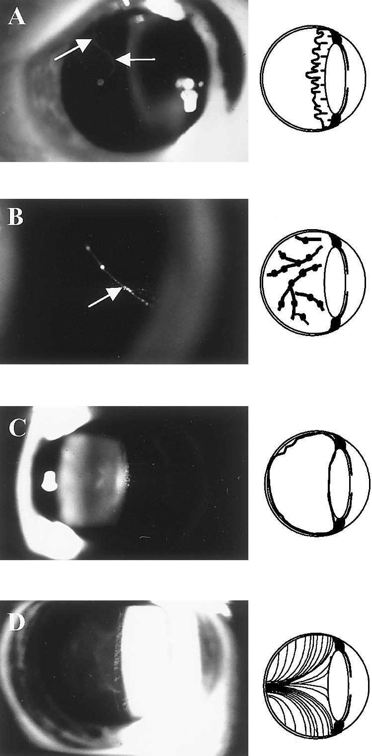 Figure  2 