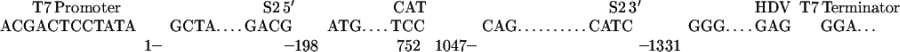 graphic file with name M1.gif