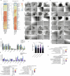 Extended Data Fig. 6