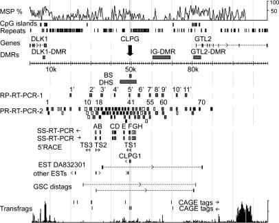 Fig. 1.