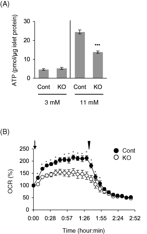 FIGURE 6: