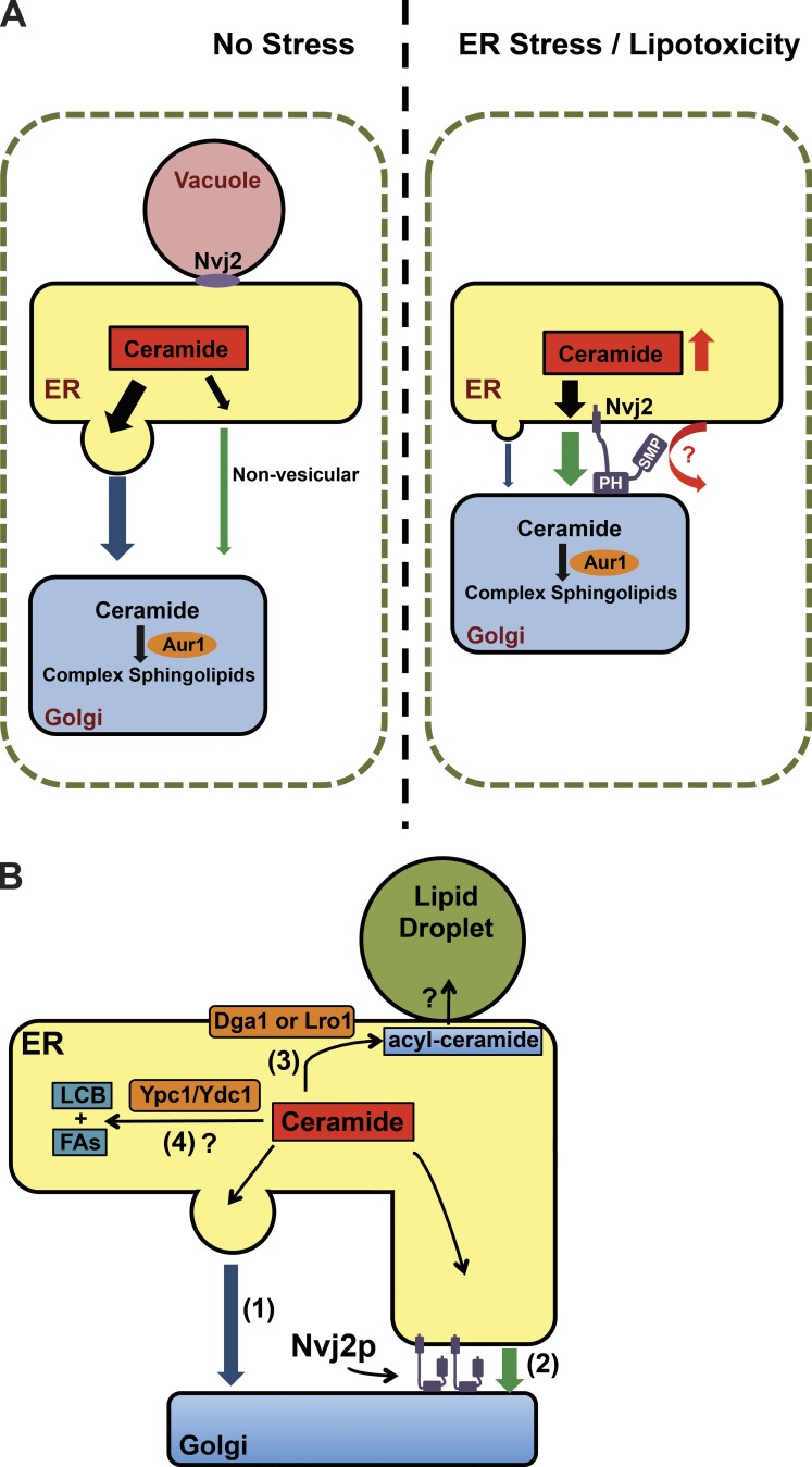 Figure 10.