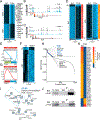 Figure 6 -