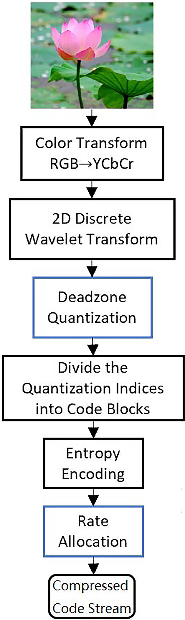 Figure 1: