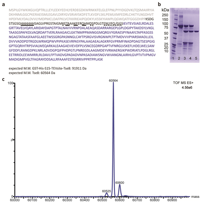 Extended data Fig. 5