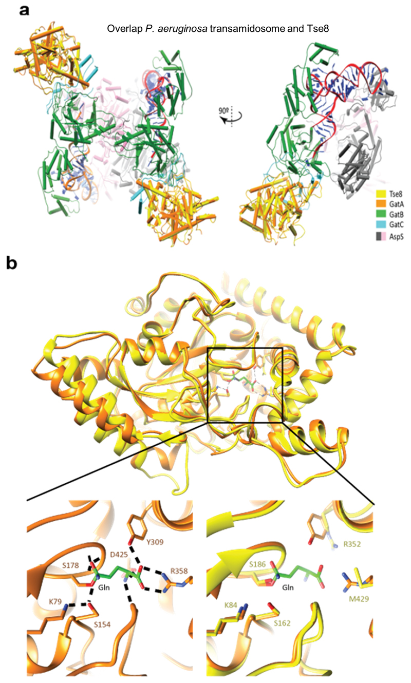 Extended data Fig. 9