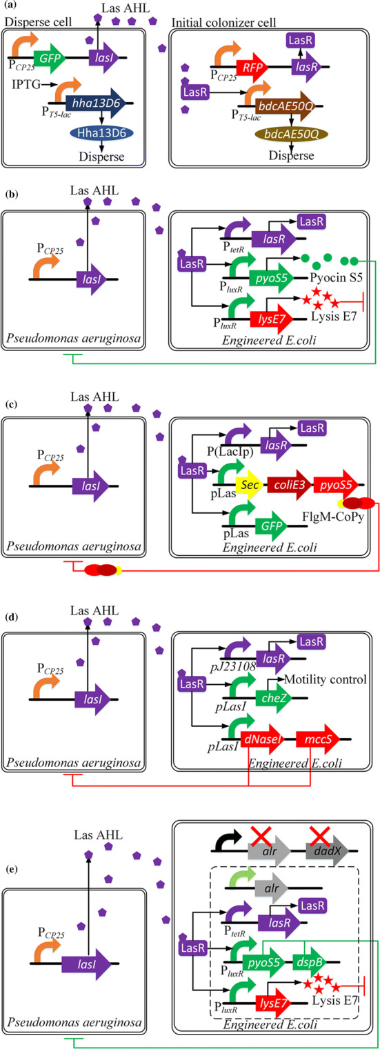 Fig. 7